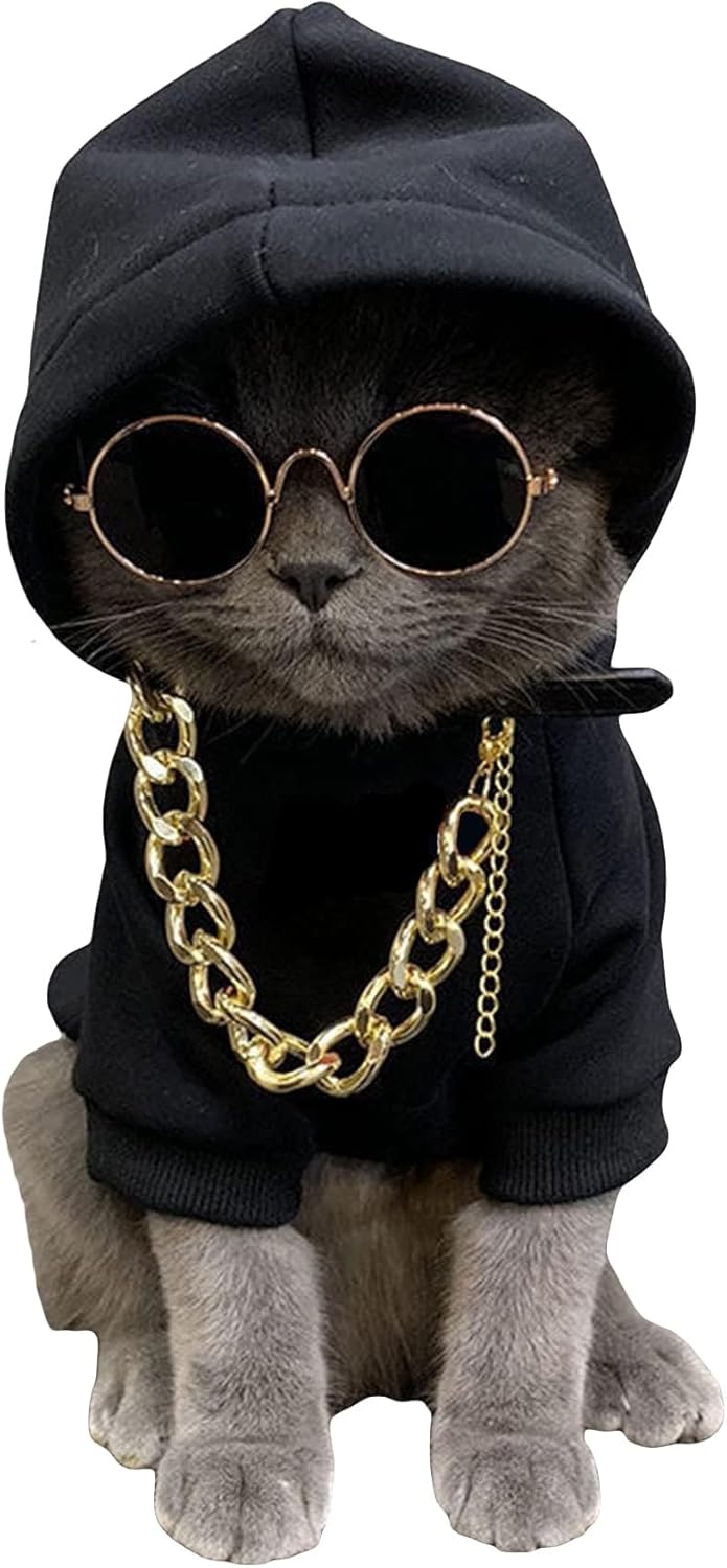 Stylish Pet Costume Set with Accessories