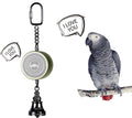 Parrot Talking Coach Voice Recordable Bird Toy - Interactive Trainer