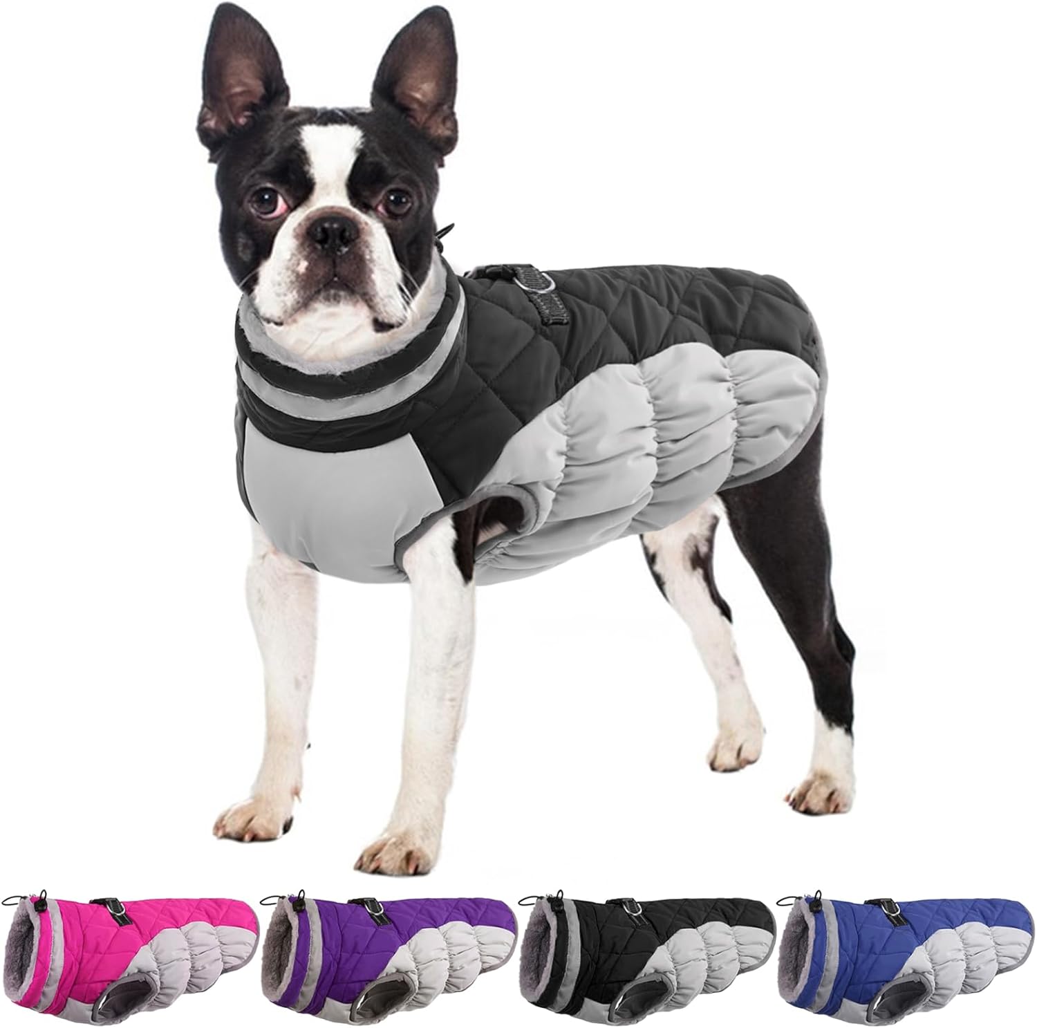 Warm and Cozy Dog Jackets for Medium Dogs in Winter Weather