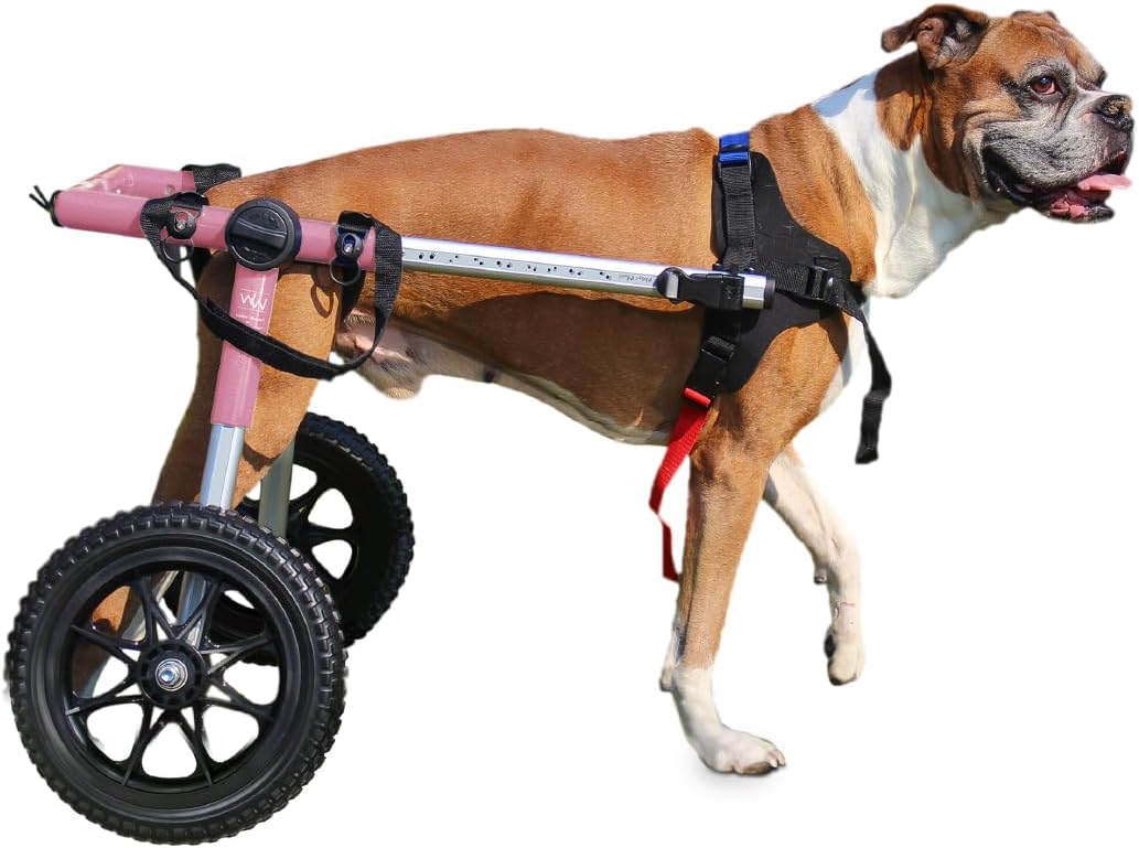 Walkin Wheels Dog Wheelchair for Medium to Large Dogs 50-69 lbs