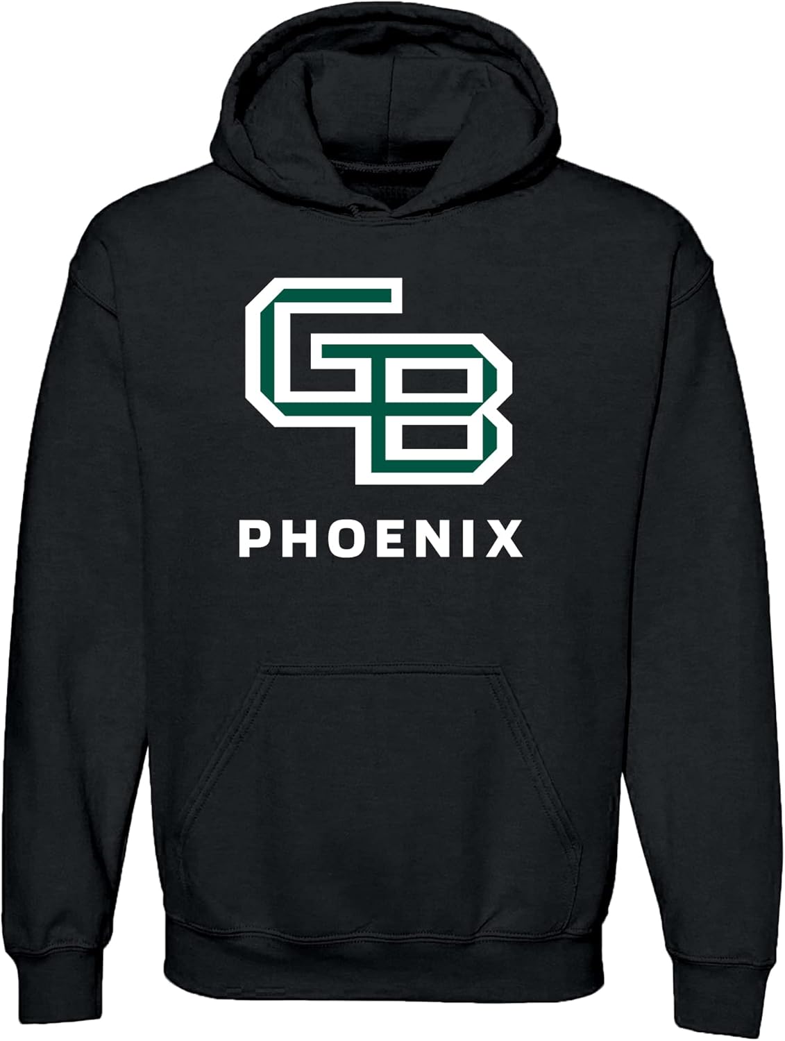 UGP Campus Apparel NCAA Primary Logo Hoodie for School Spirit