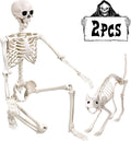 5.4Ft Life Size Human Skeleton with Cat Skeleton - Realistic Poseable