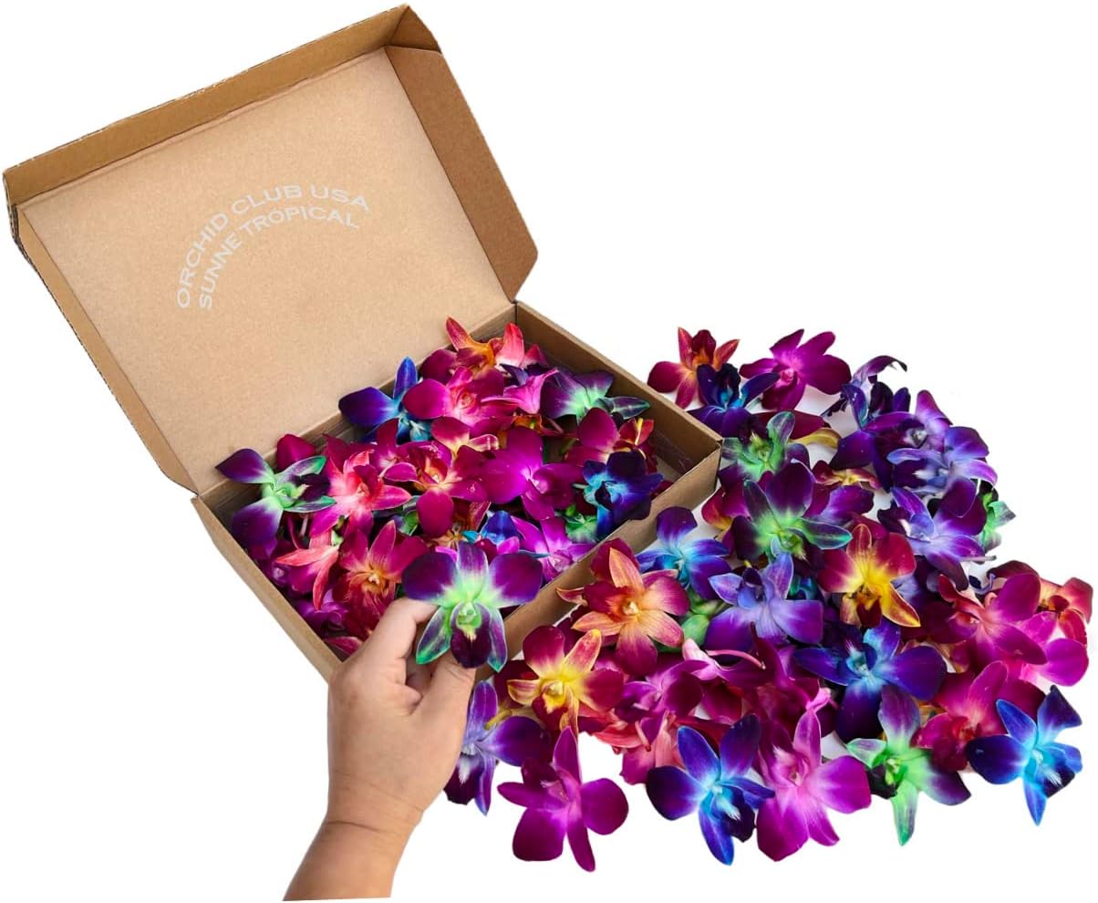 Fresh Orchid Loose Bloom for DIY Lei and Event Decorations