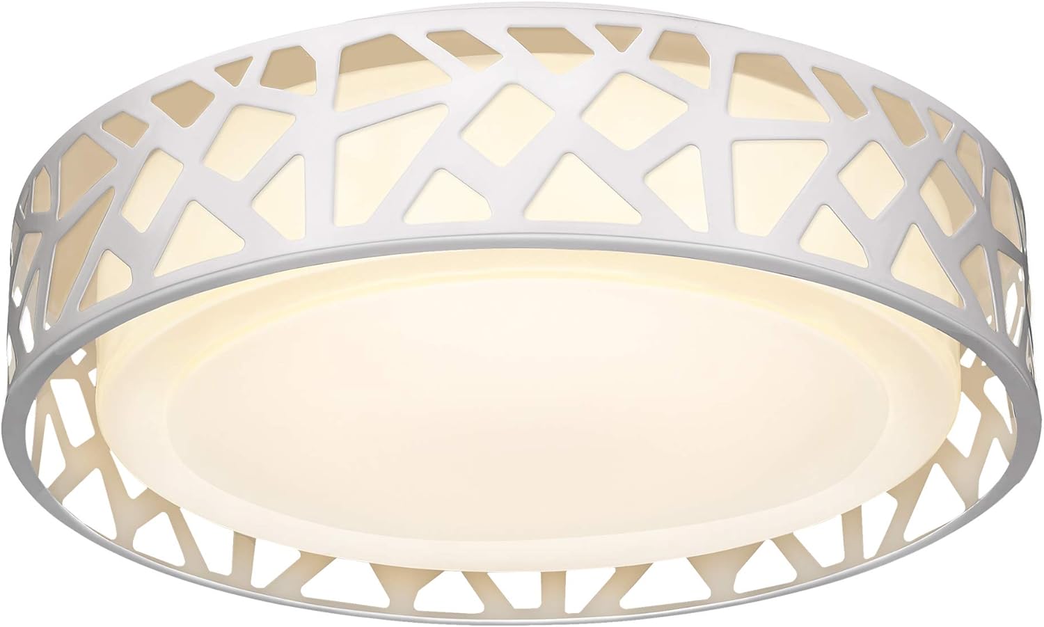 LED Flush Mount Ceiling Light for Modern Home Decor Needs