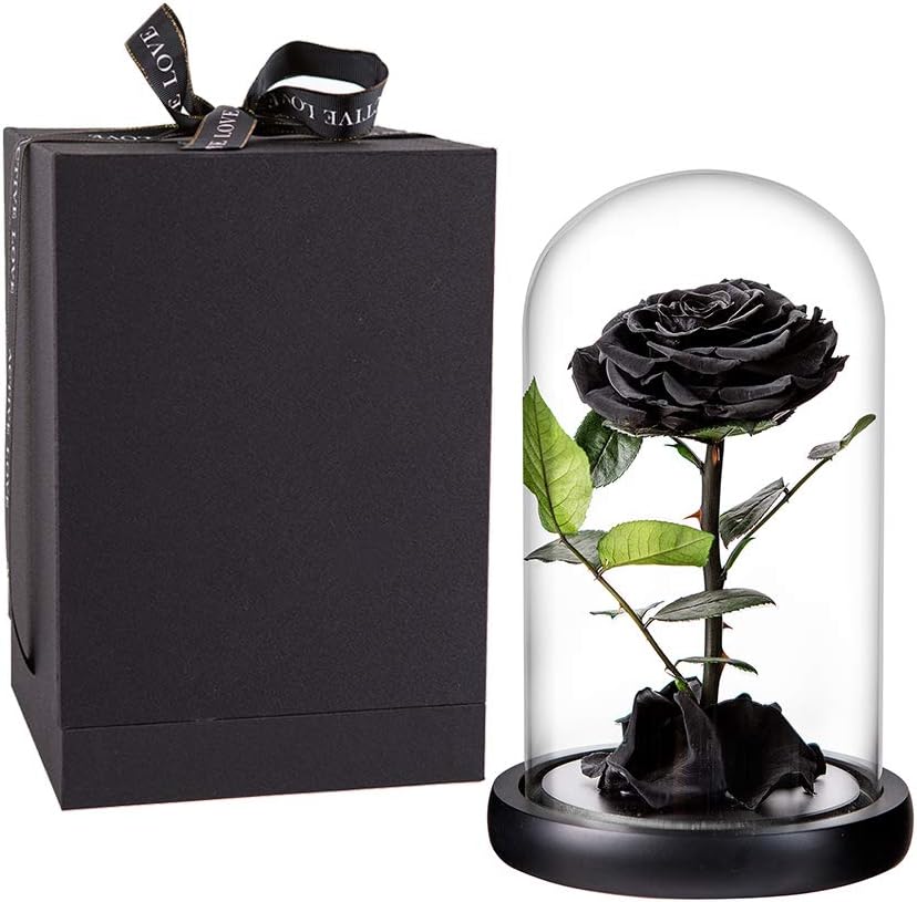 Preserved Roses Black Roses Handmade Real Rose in Glass Dome