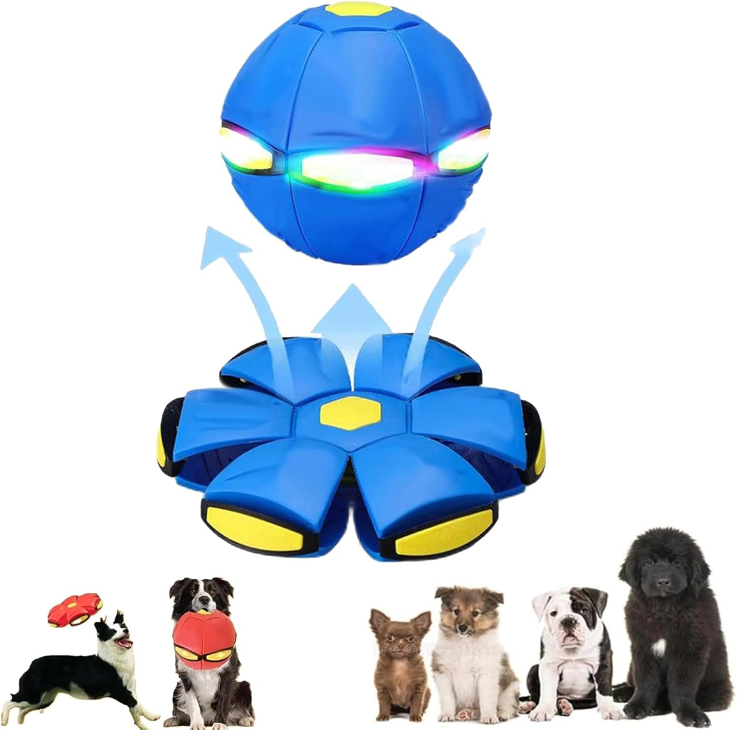 Interactive Dog Disc Ball for All Dogs - MSRXUP