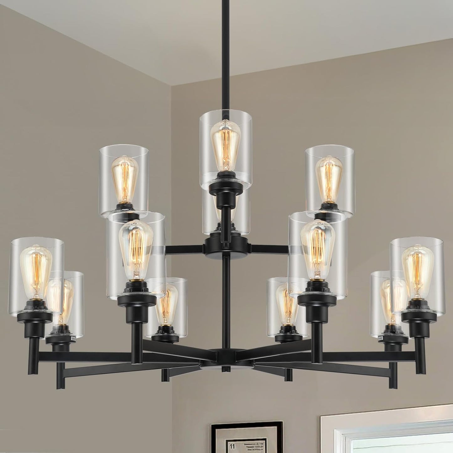 Black Chandelier for Living Room with Clear Glass Shades