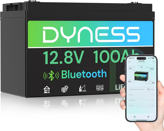 12V 100Ah Bluetooth LiFePO4 Battery for RV and Off-Grid Use