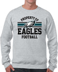 Team Fan Apparel Philadelphia Eagles Crewneck Sweatshirt for Men