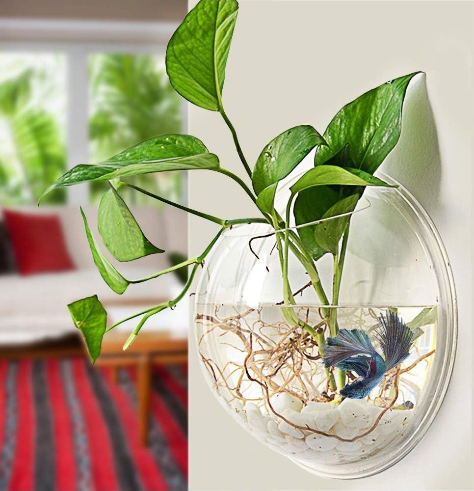 Wall-Hanging Fish Bowl Acrylic Plant Pot for Home Decoration