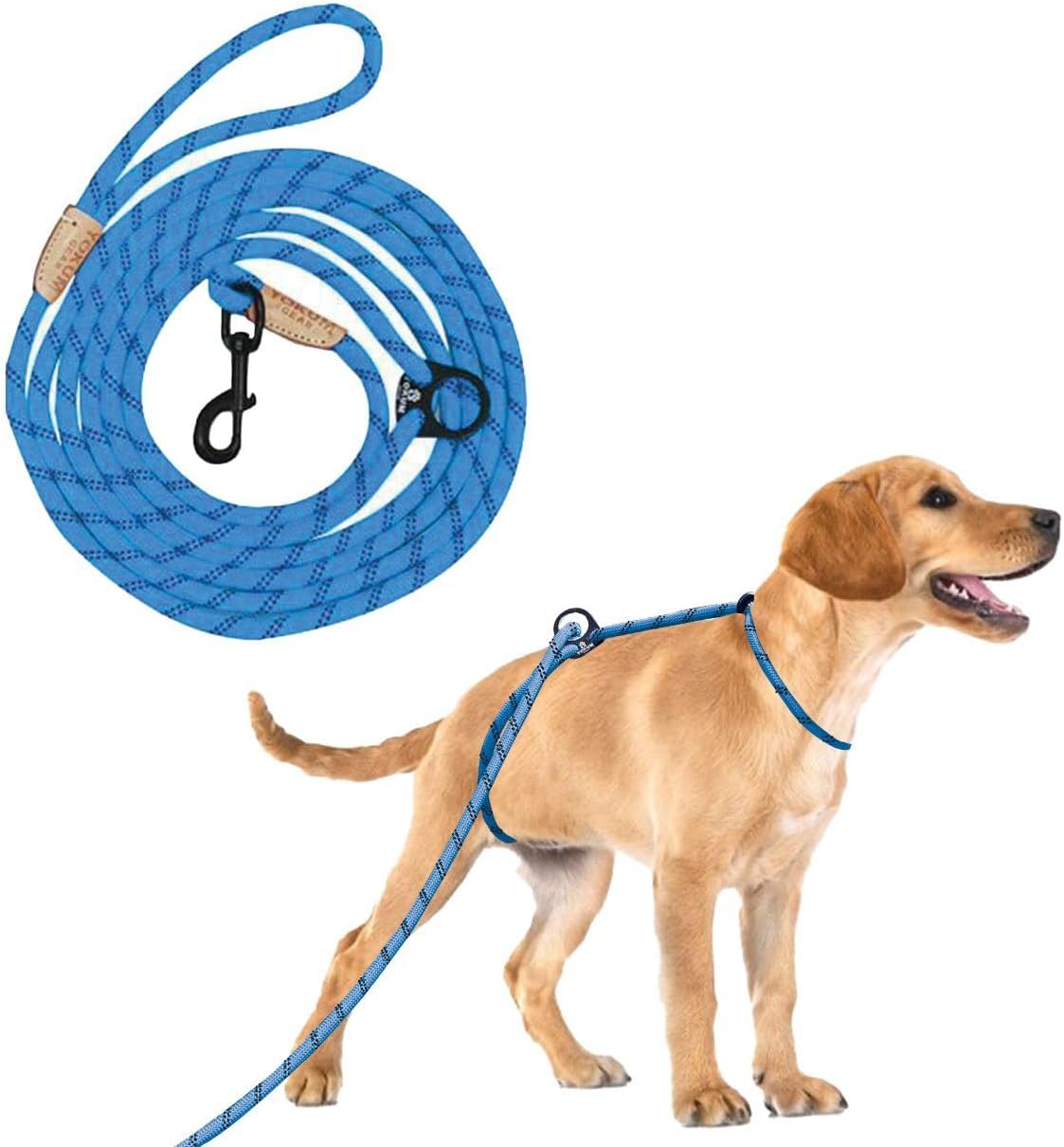 12ft No Pull No Choke Dog Leash for All Breeds, Reflective Teal