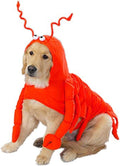 Lobster Paws Dog Costume Medium - Cute Party Photo Outfit