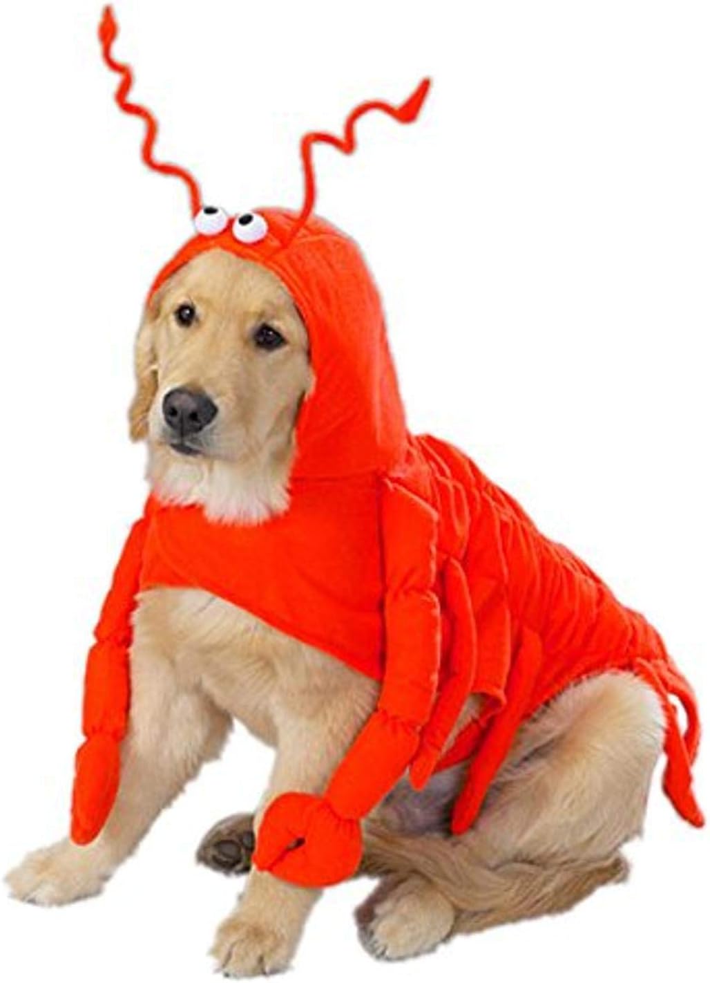 Lobster Paws Dog Costume for Medium Dogs, Red-Orange Fun