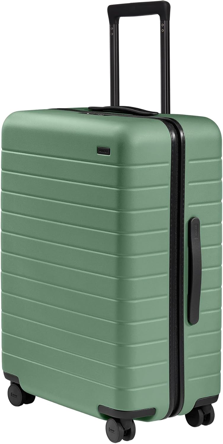 Lightweight Hard Shell Suitcase with Spinner Wheels, 26 Inch