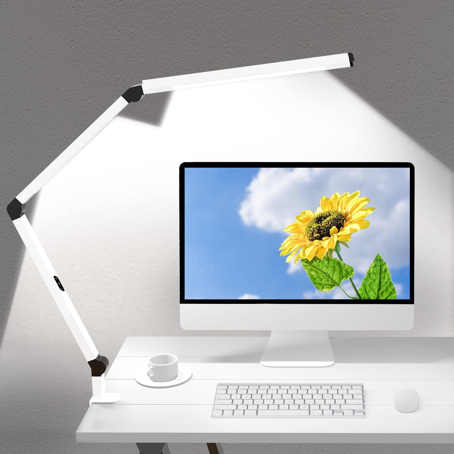 Adjustable Dual Light LED Desk Lamp by Micomlan