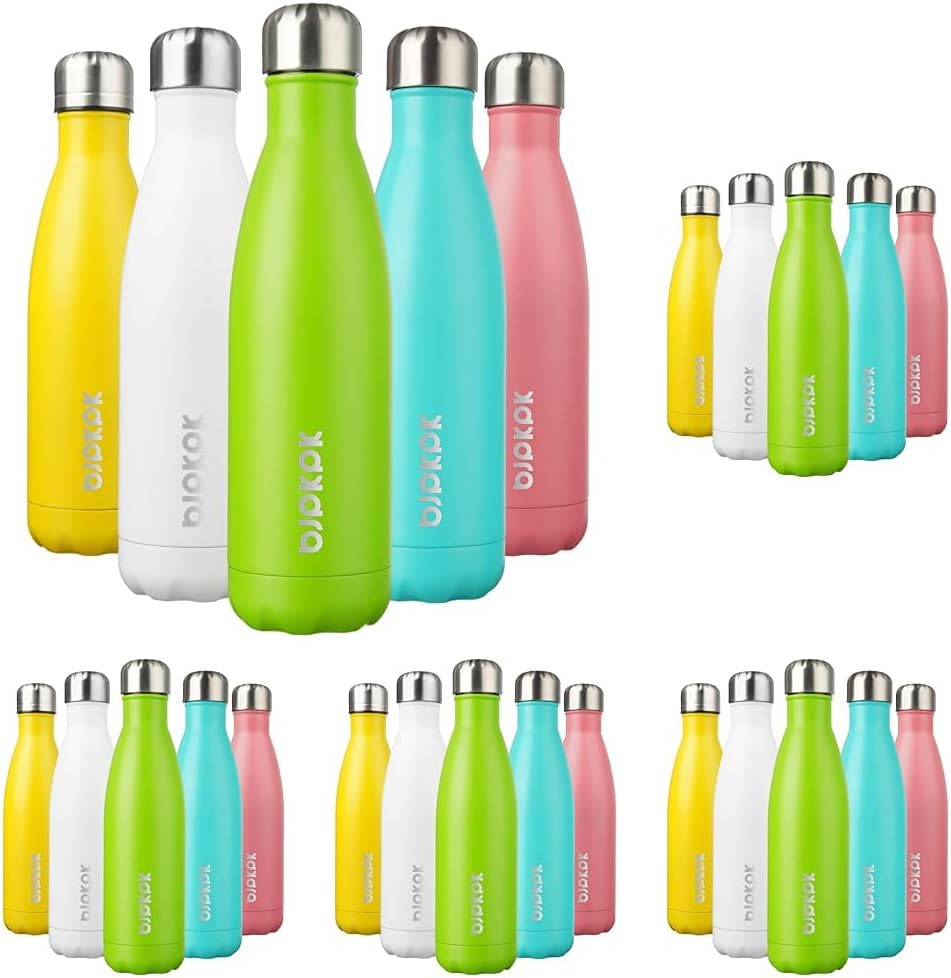 Insulated Water Bottles - 17oz Stainless Steel Pack of 5