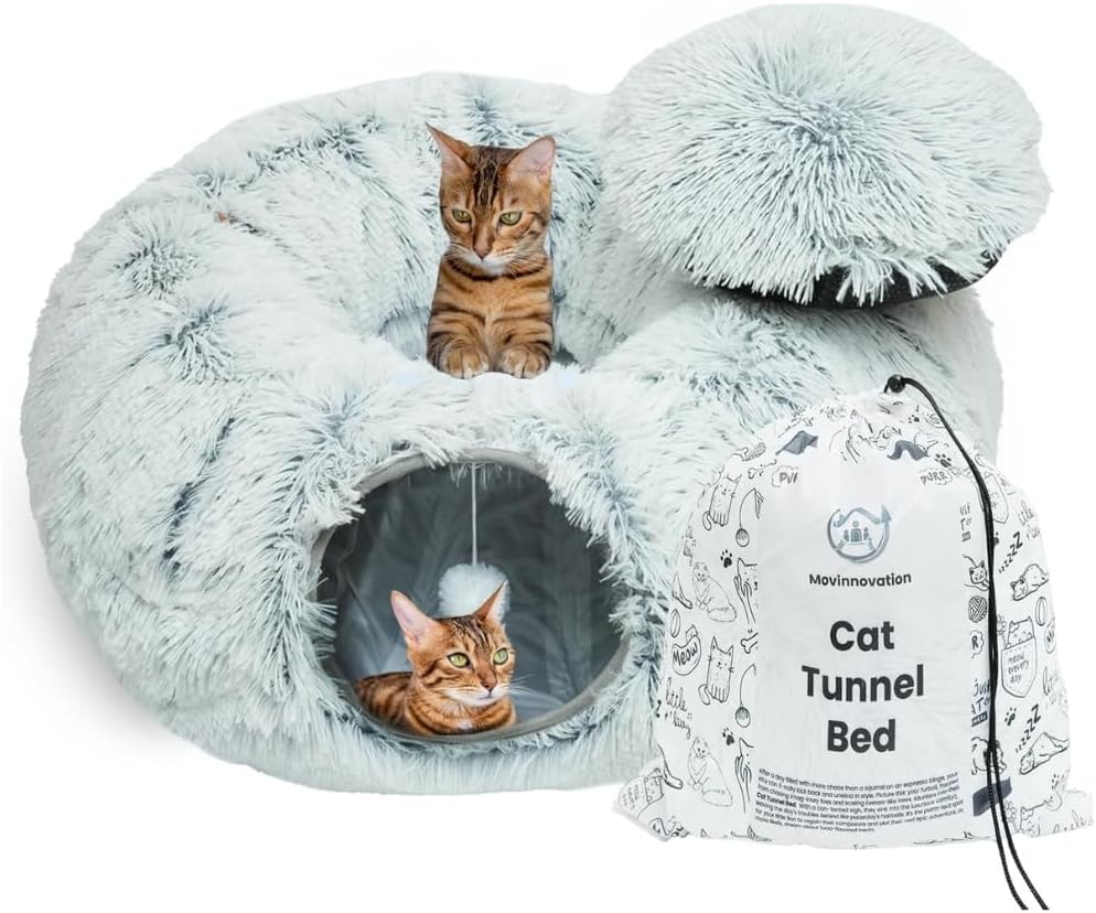 Large Cat Tunnel Bed for Indoor Cats with Interactive Features