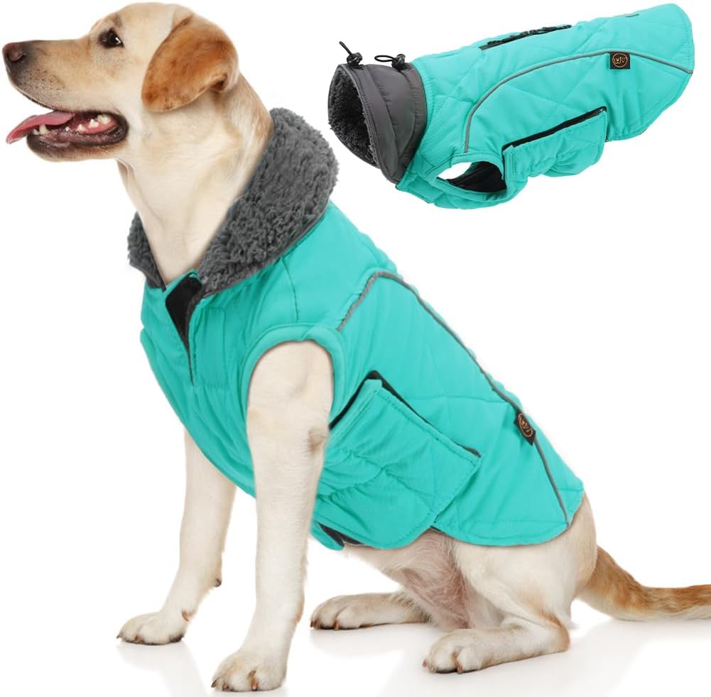 EMUST Winter Dog Coat for Medium Boys - Stylish and Warm Jacket