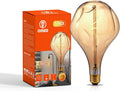 OMED S165 Irregular Large Oversized Vintage LED Edison Bulb - Warm