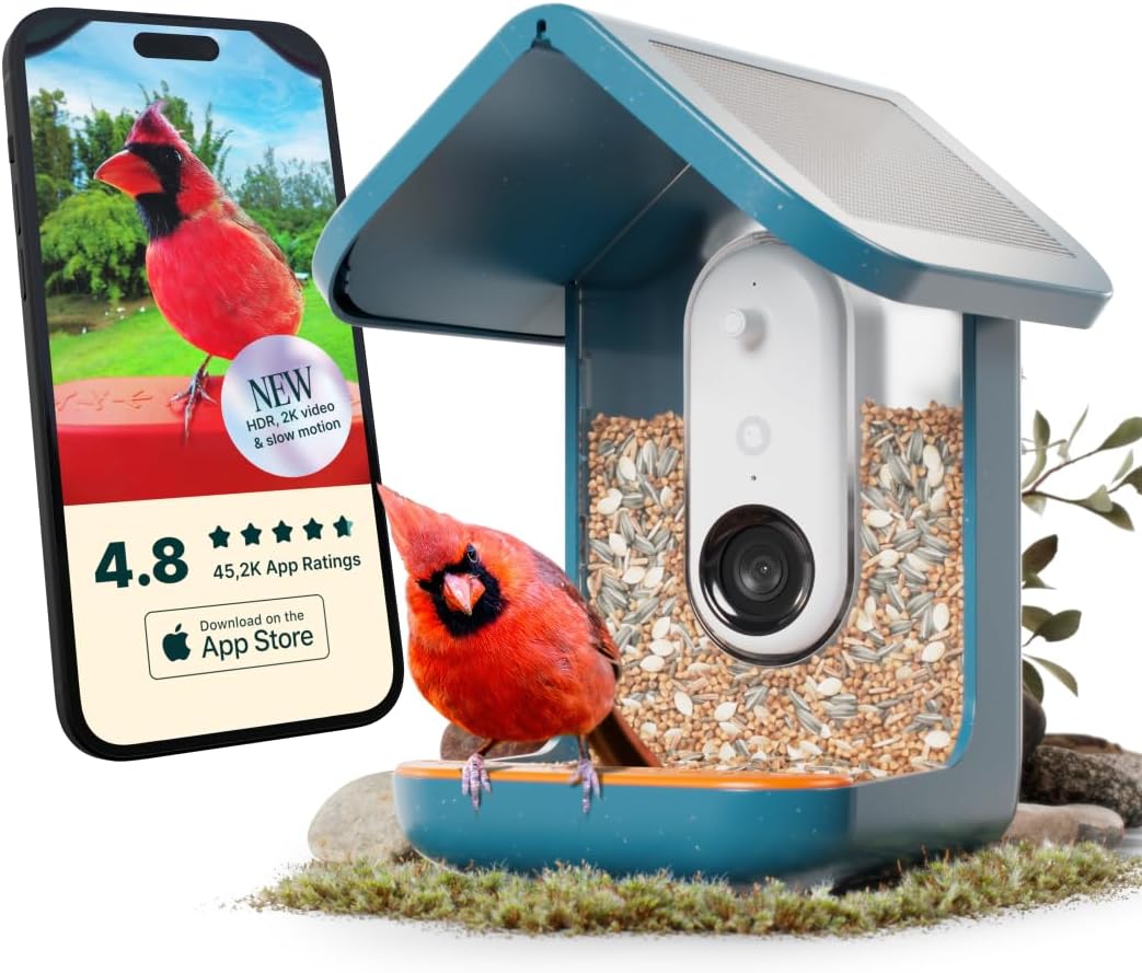 Bird Buddy Pro: Ai Bird Identification & 2K Camera