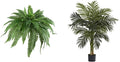 Artificial Boston Fern and 4ft Golden Cane Palm Set - Lush, Low Care