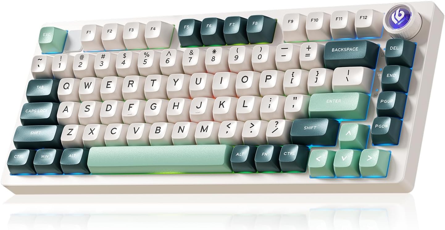 HI75C Pro Gaming Keyboard - RGB Backlit Wireless Mechanical Keyboard
