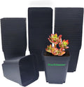 Square Nursery Pots 4 Inches 60Pcs for Seedling Growth