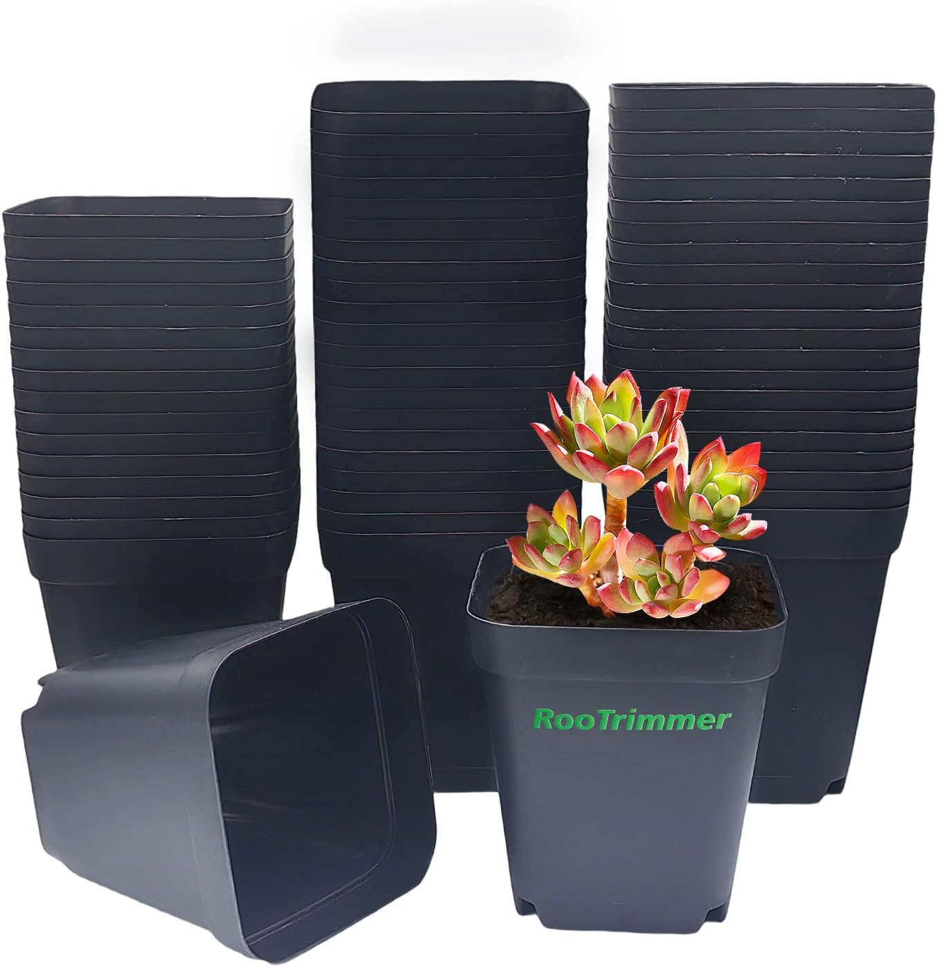 Square Nursery Pots 4 Inches 60Pcs for Seedling Growth