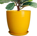 12 Inch Ceramic Plant Pot for Indoor Plants - Drainage & Saucer