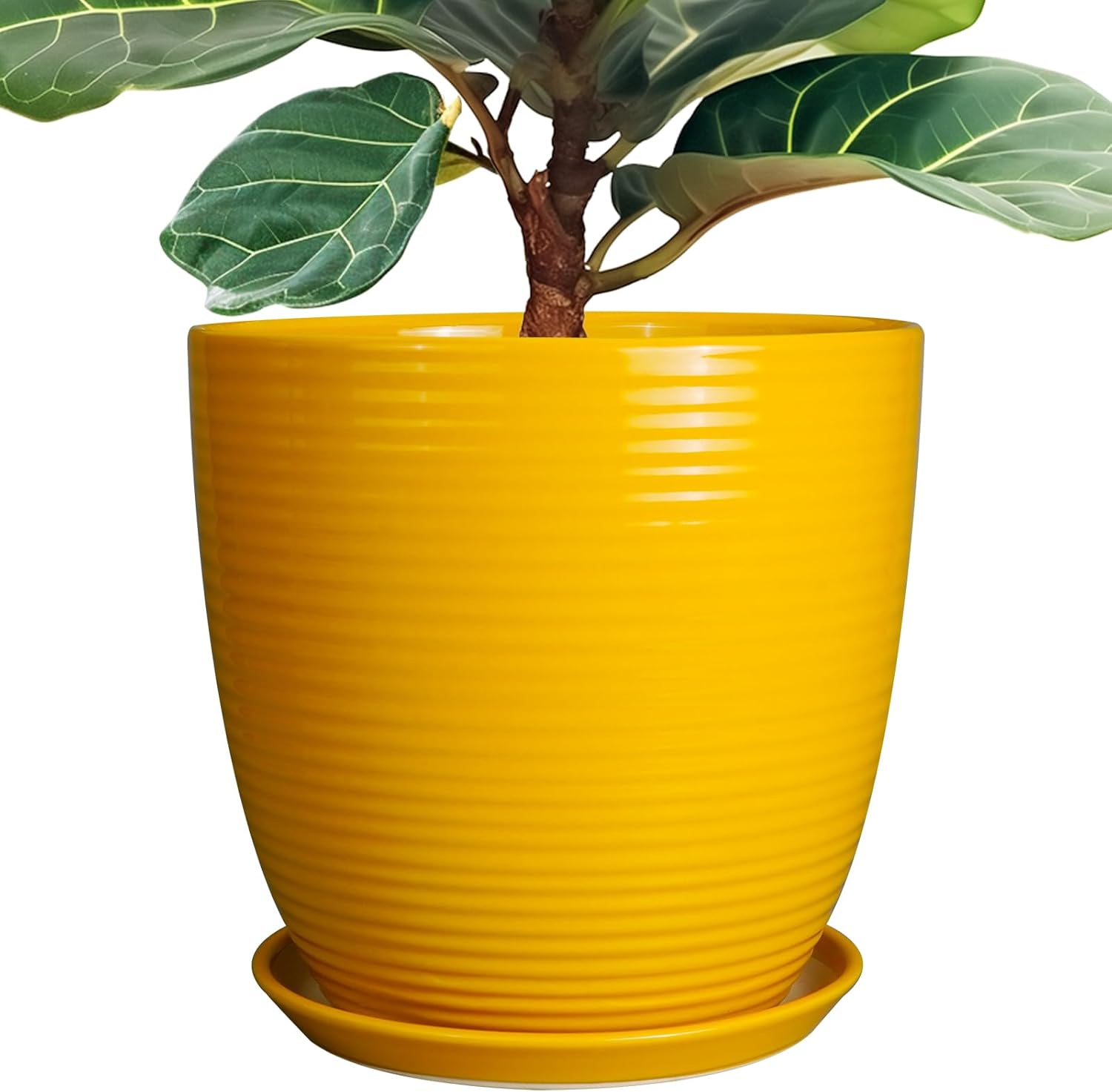 12 Inch Ceramic Pots for Plants - Large Indoor Planter with Saucer