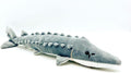 Chinese Sturgeon Plush Doll 35 cm - Hand-Trimmed Ocean Plush