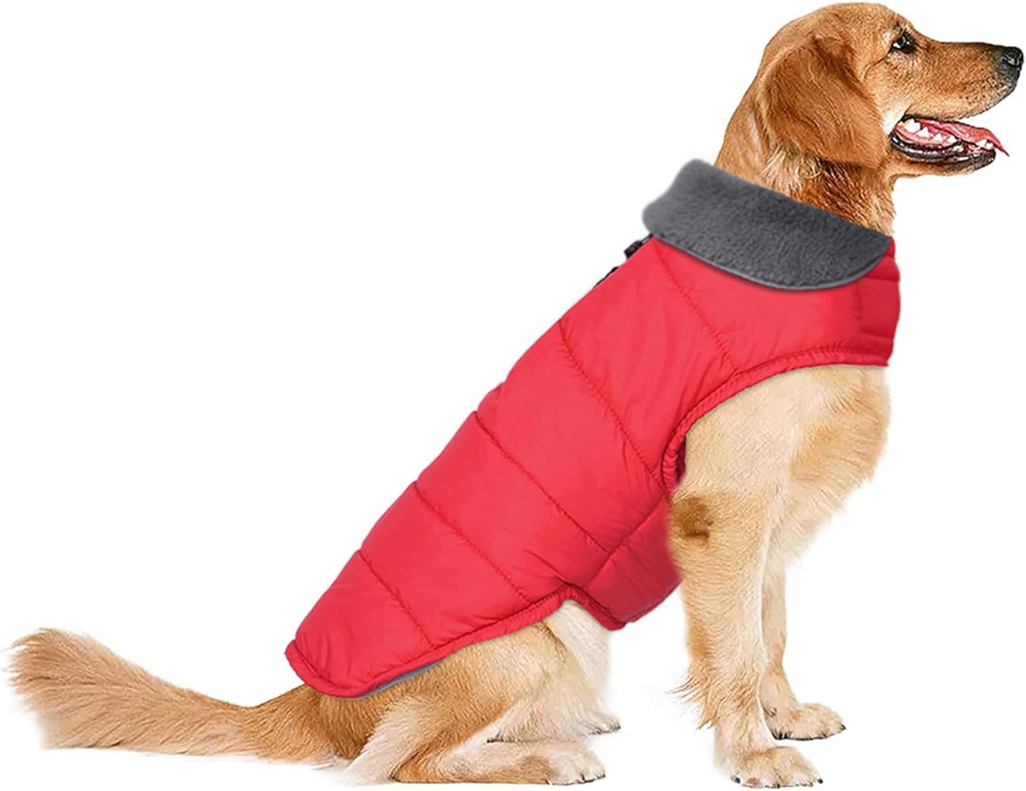 Dog Winter Coat with Fleece Lining for Small to Large Dogs