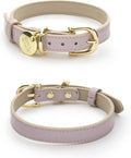 Milan Vegan Leather Dog Collar - Luxury Padded Collar for Dogs