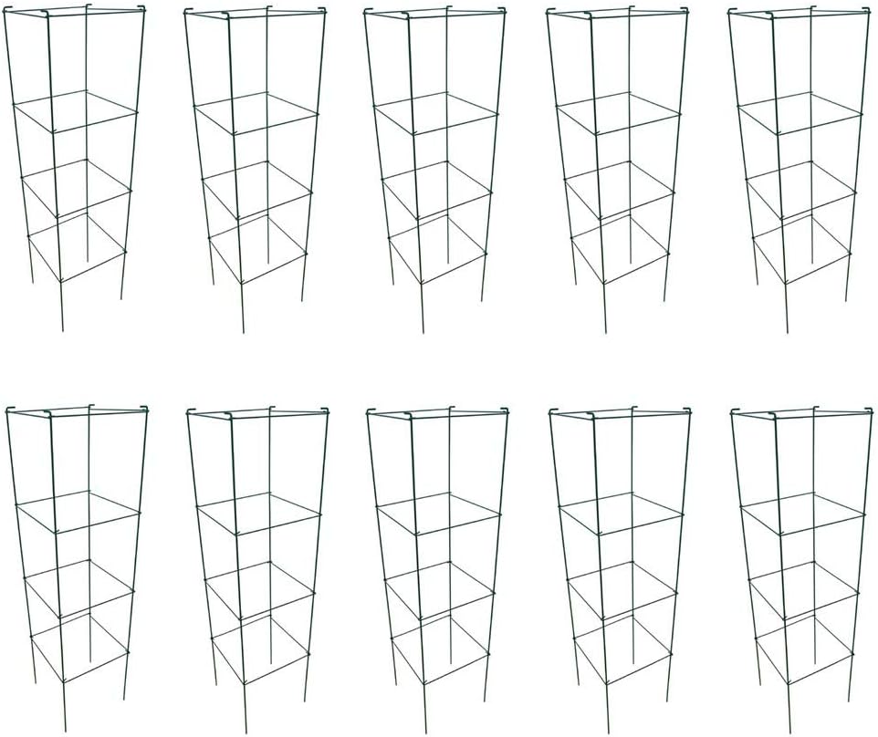 Green Square Folding Tomato Cage Plant Support for Garden Use
