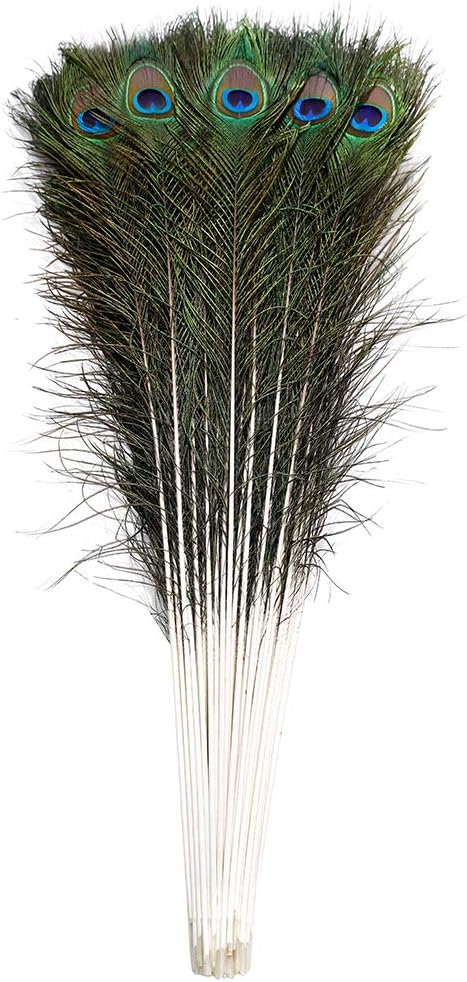 Natural Long Peacock Feathers for DIY Craft and Decoration