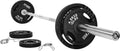 45LB Cast Iron Plate Weight for Strength Training - Single Plate