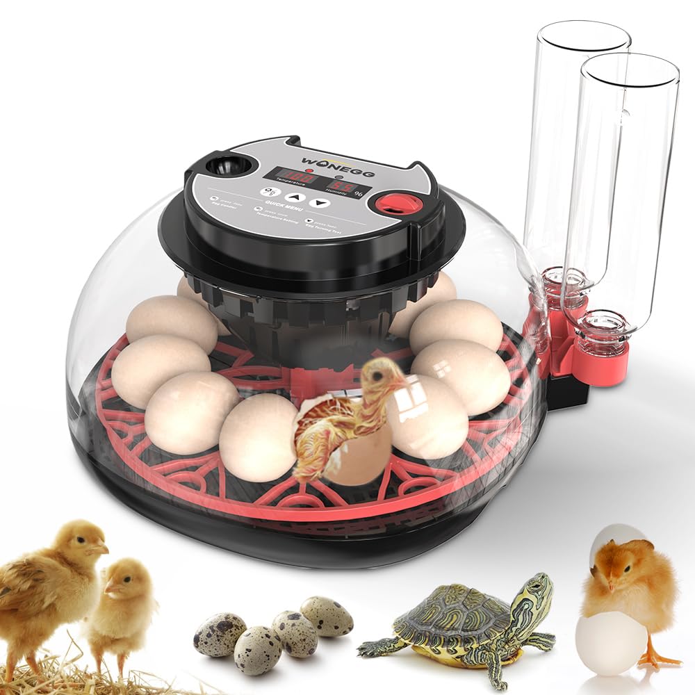 12 Egg Incubator with Automatic Turning and Humidity Control