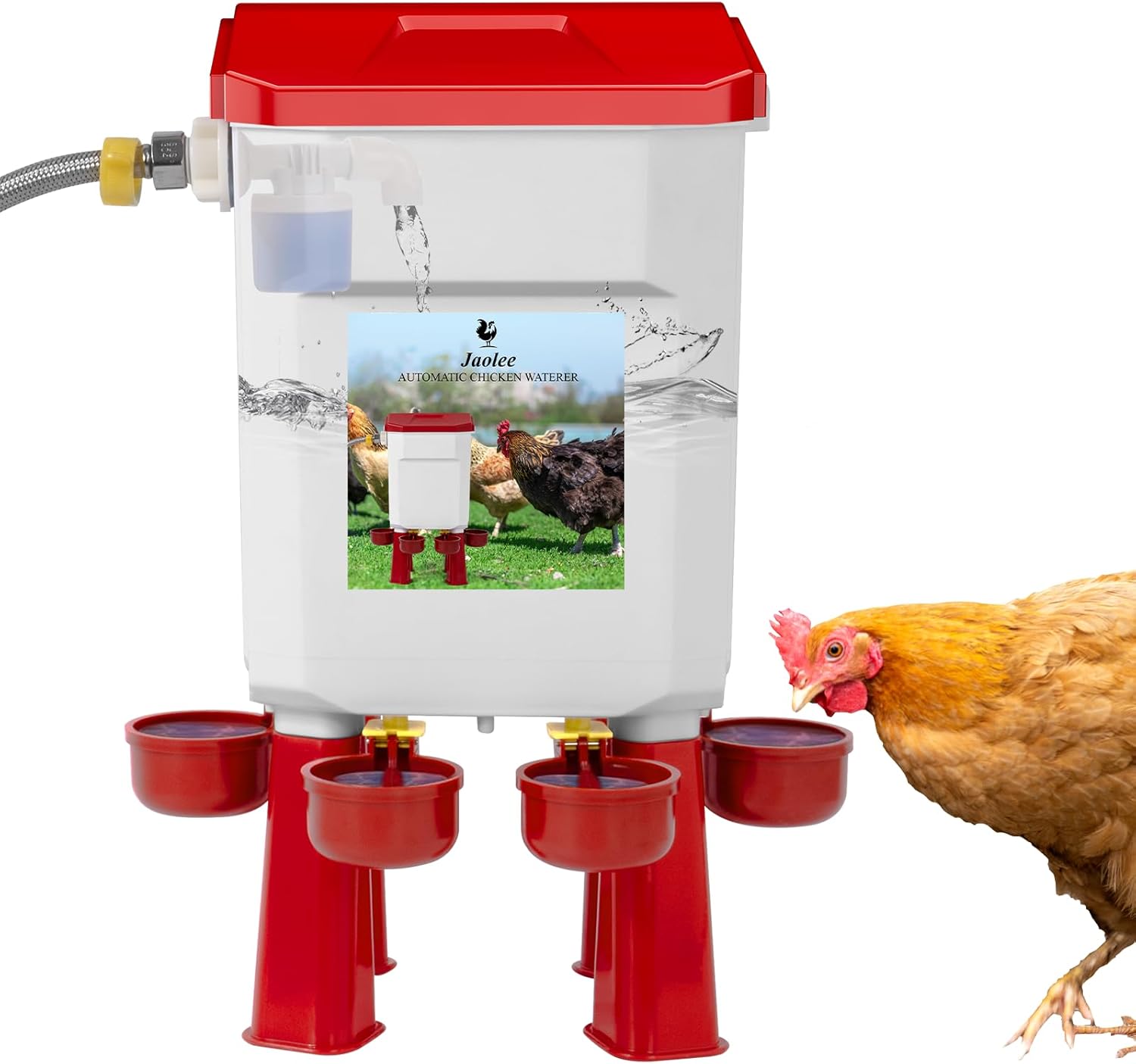 Automatic Chicken Waterer with Float-Controlled Design for Poultry