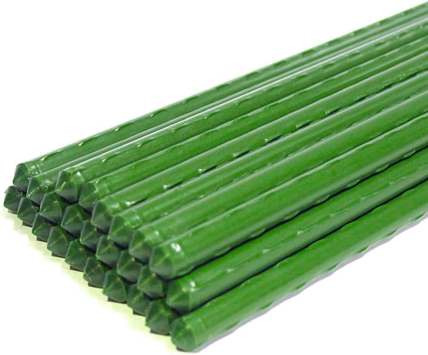 Growsun 6ft Tomato Stakes for Strong Plant Support in Garden