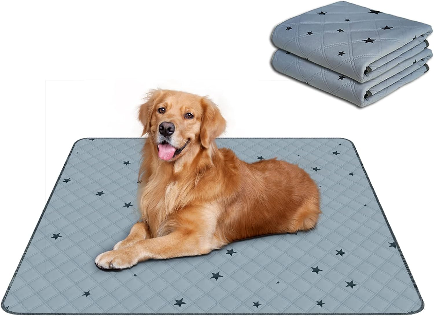 RIOUSSI Washable Pee Pads for Dogs - Absorbent & Leakproof