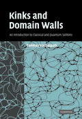 Kinks and Domain Walls: An Introduction to Classical and Quantum