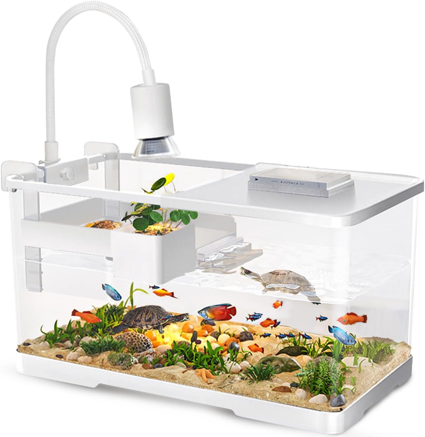 Turtle Tank Kit with Light and Filter for Reptiles and Aquatics
