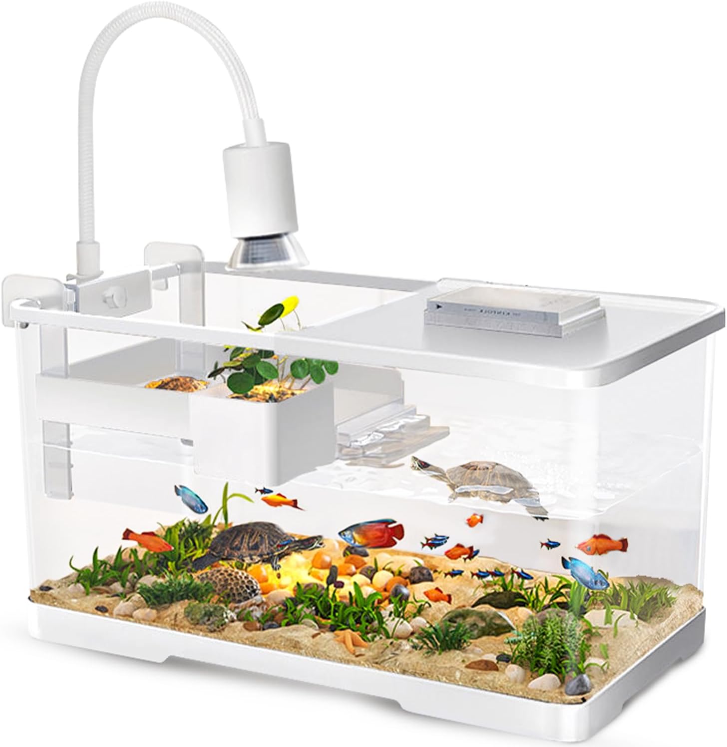 Turtle Tank Kit with Light and Filter for Reptiles and Aquatics