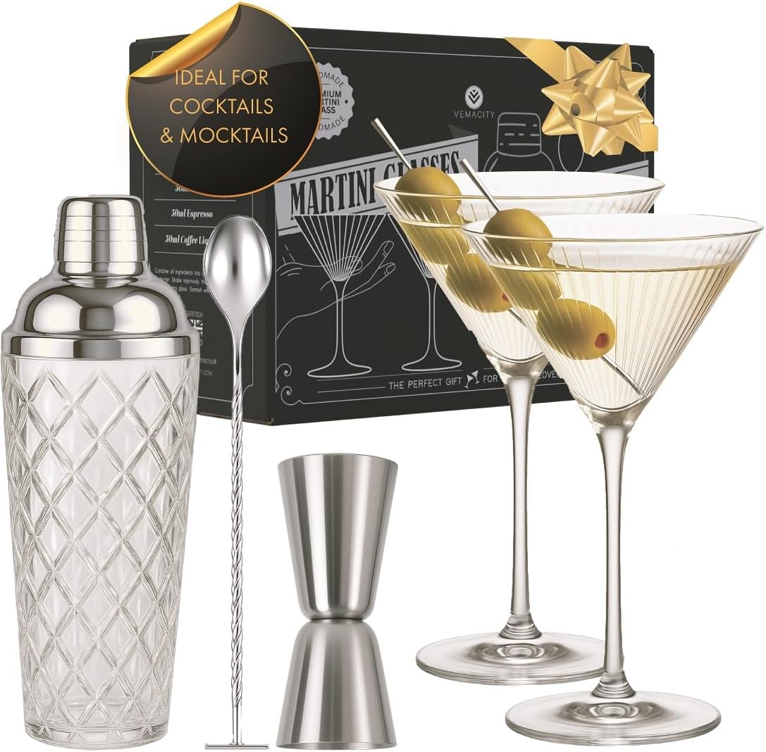 VEMACITY Silver Luxury Home Mixology Cocktail Shaker Set