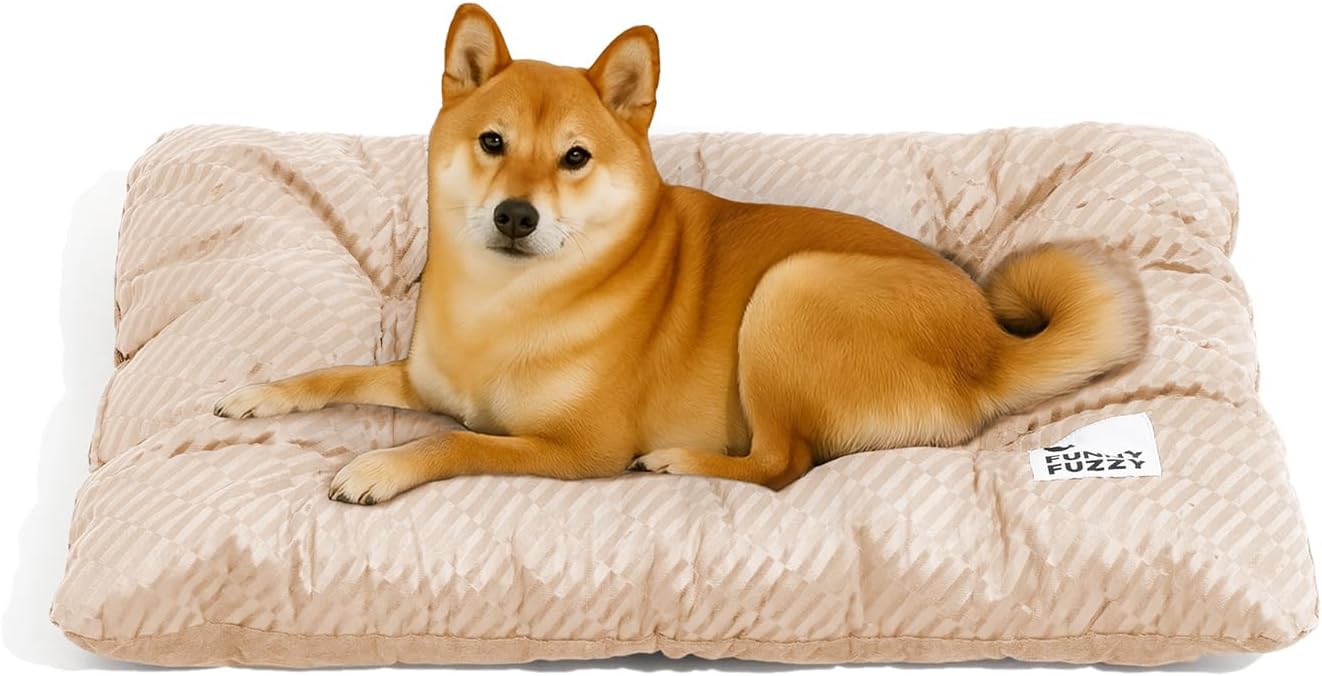 Funny Fuzzy 2 in 1 Dog Crate Bed Pad for Large Dogs, Beige
