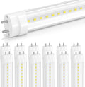 12-Pack T8 LED 2FT Type B Light Bulbs - 5000K Super Bright