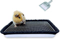 Guinea Pigs Litter Box with Stainless Steel Grid - Durable Small