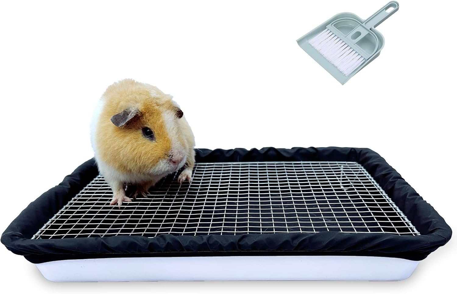 Guinea Pigs Litter Box with Stainless Steel Grid for Small Pets