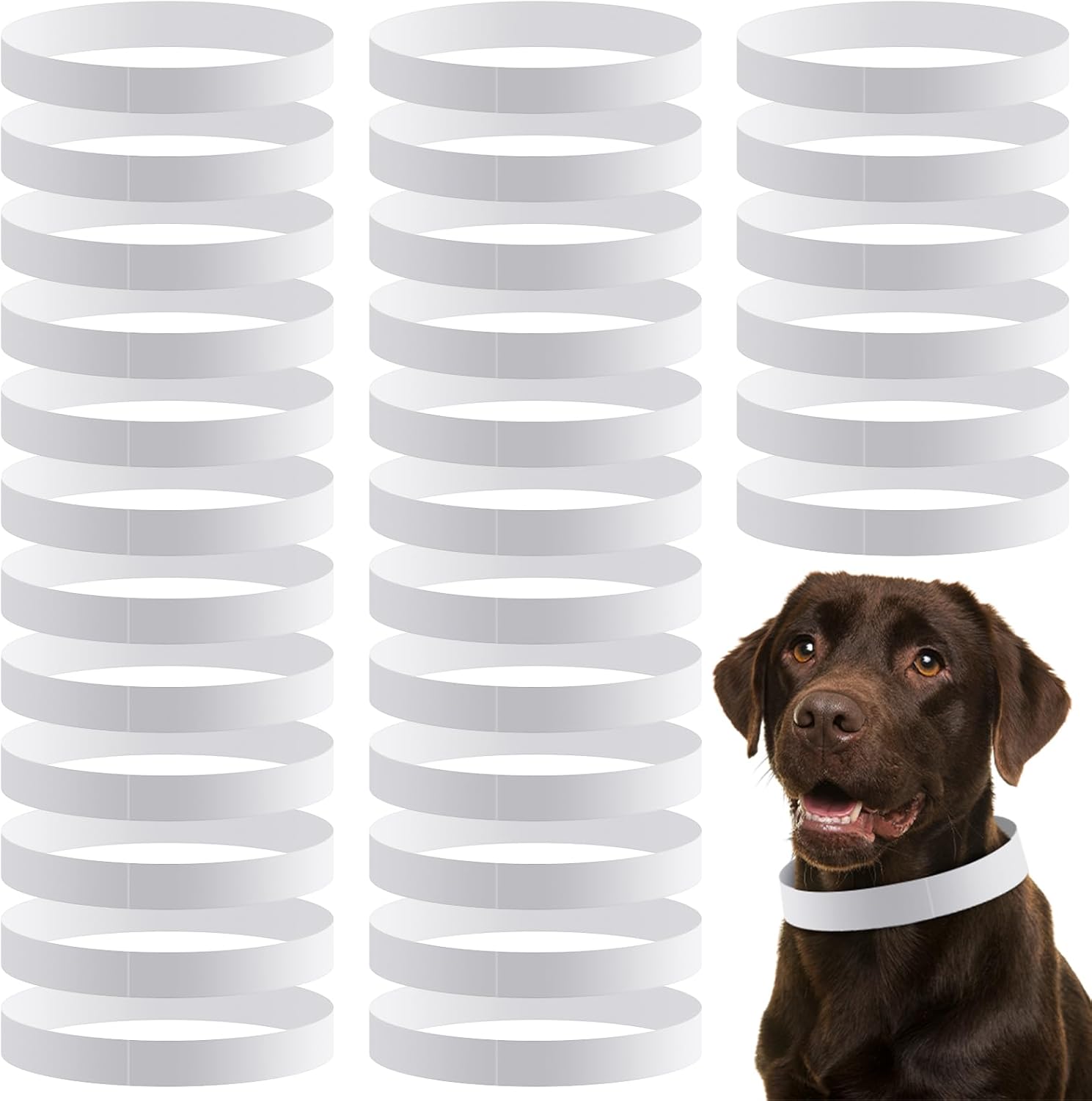 500 Count Adjustable Paper Dog Collars for Pet Identification