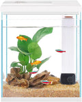 Betta Fish Tank 2 Gallon Glass Aquarium Starter Kit - Clear, Compact